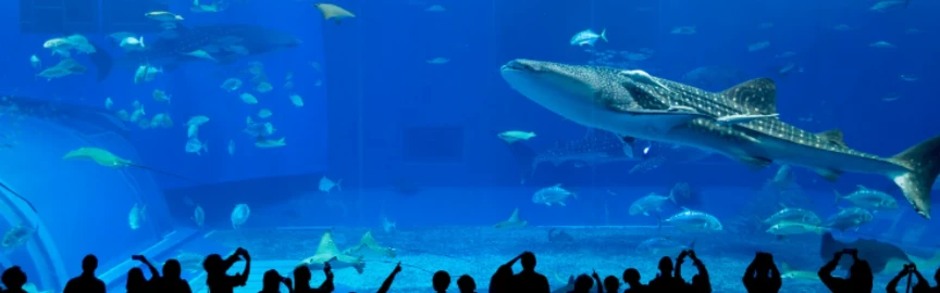 Aquarium Taraporewala. Aquarium Tertua di India oleh Marine Drive