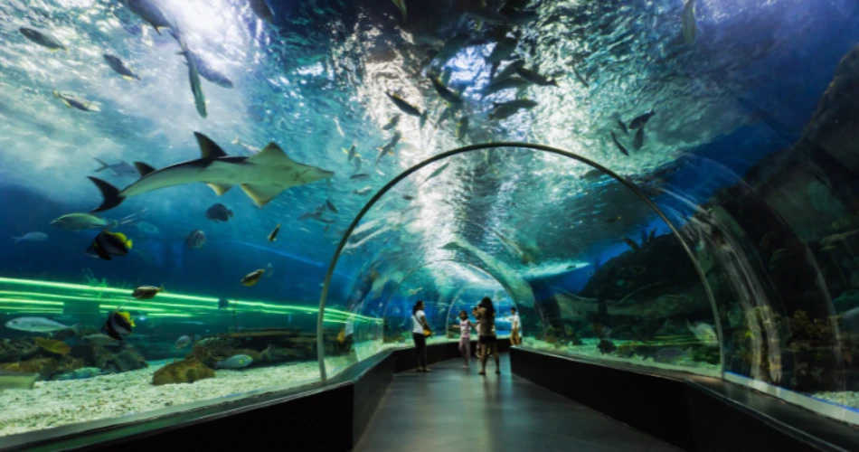 Acuario Taraporewala. El acuario más antiguo de India en Marine Drive.